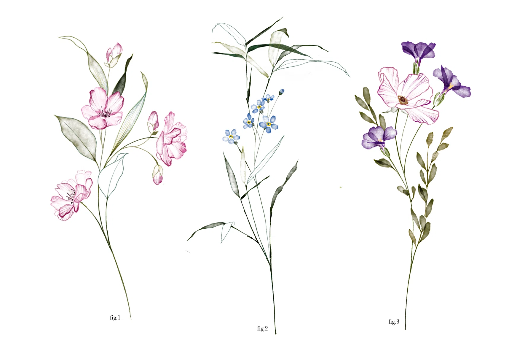 eva-edelstein-nft