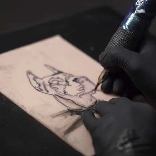 bulletdobermanproceso.jpg